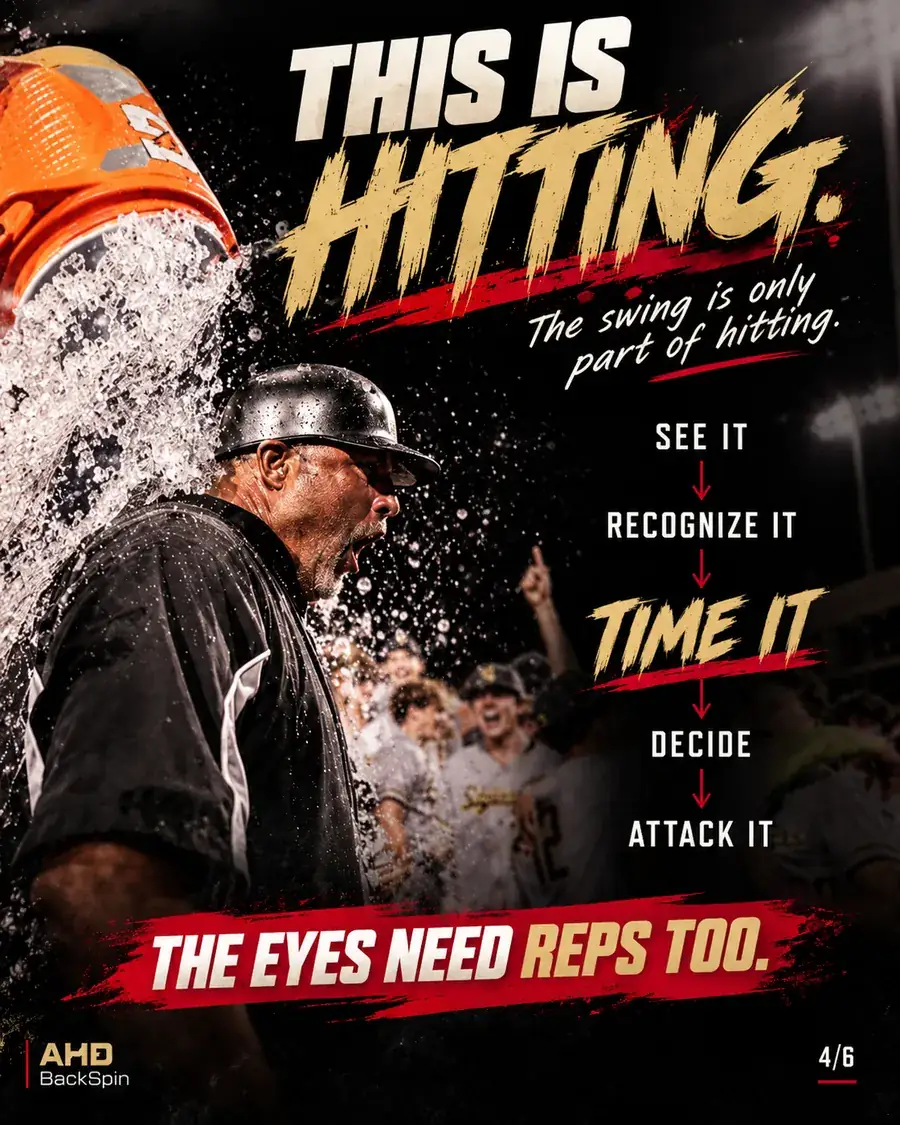 See it, recognize it, time it, decide, attack it