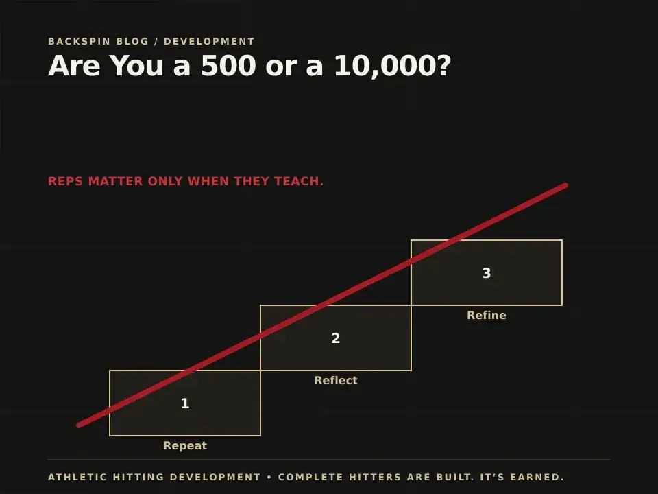 Are You a 500 or a 10,000?: AHD teaching diagram