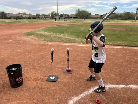Baseball Hitting Drills at Home: A 15-Minute Daily Plan — Backspin Blog by Athletic Hitting Development