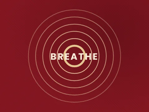 Breathe to Hit — Backspin Blog by Athletic Hitting Development