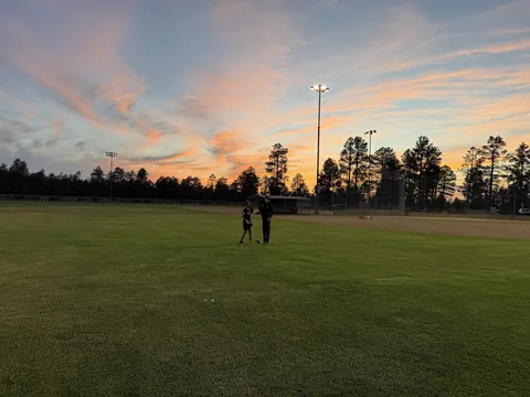 Bring Back the Sandpaper Guys — Backspin Blog by Athletic Hitting Development