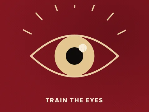 Train the Eyes Without Swinging — Backspin Blog by Athletic Hitting Development