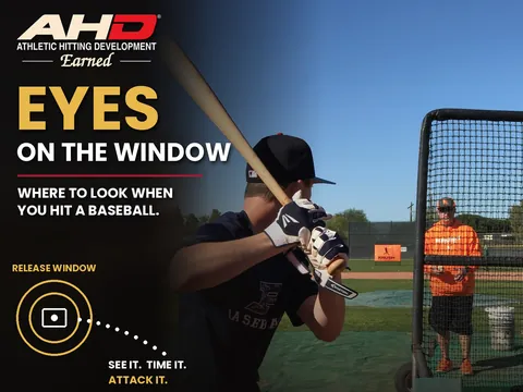 What Should You Look at When Hitting a Baseball? — Backspin Blog by Athletic Hitting Development