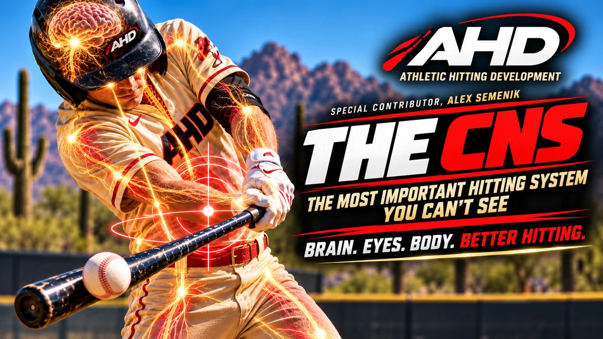 The CNS: AHD hitter with brain, eyes and nerve pathways lit up as the barrel meets the ball
