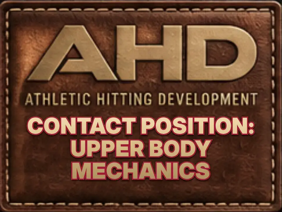 Contact Position: Upper Body Mechanics — Backspin Blog by Athletic Hitting Development