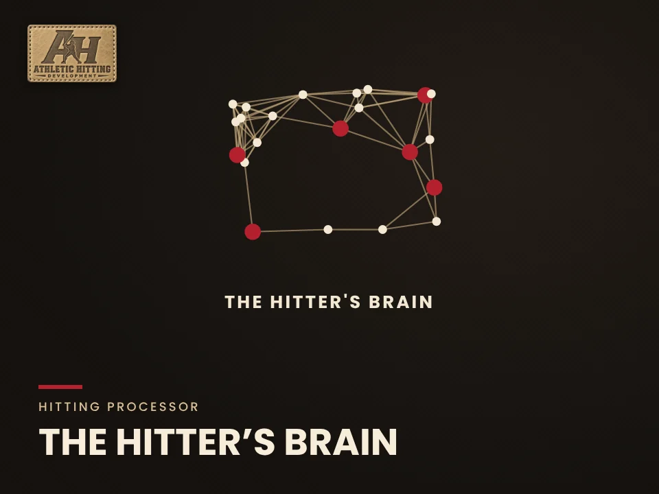 The Hitter’s Brain: AHD hitter's brain graphic