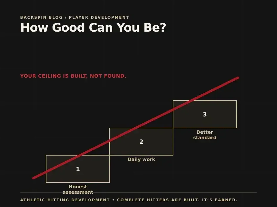 How Good Can You Be?: AHD teaching diagram
