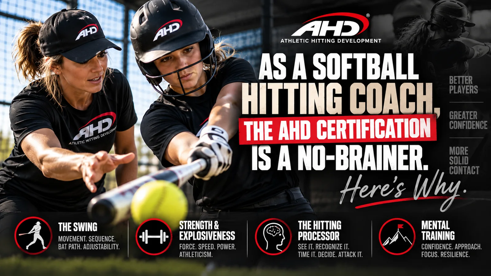 As a Softball Hitting Coach, the AHD Certification Is a No-Brainer. Here’s Why.. AHD Backspin Blog