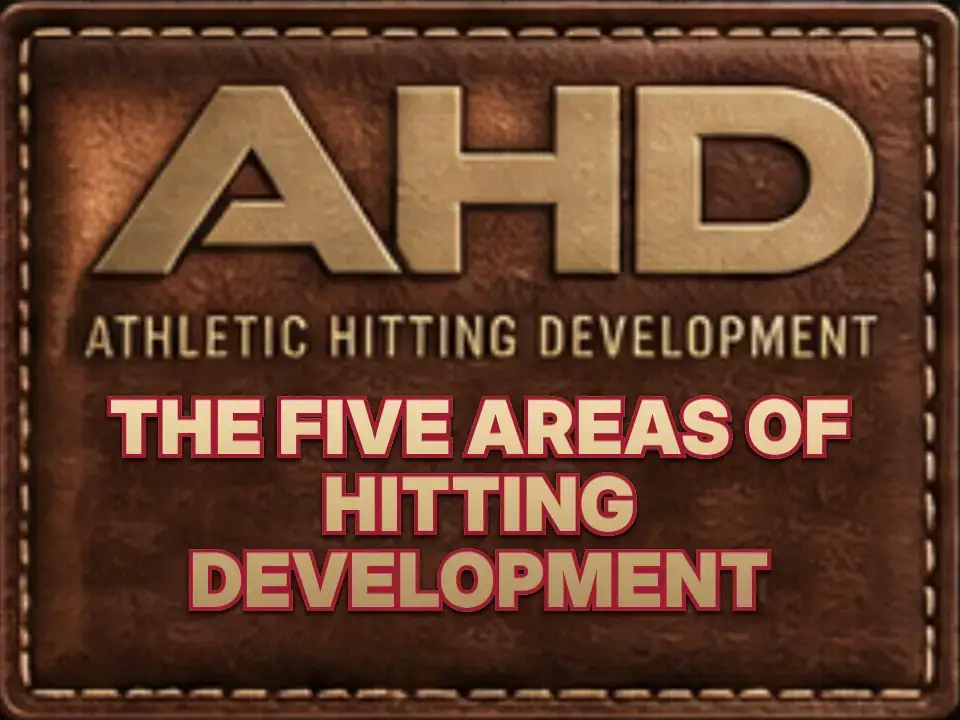 The Five Areas Of Hitting Development — Backspin Blog by Athletic Hitting Development
