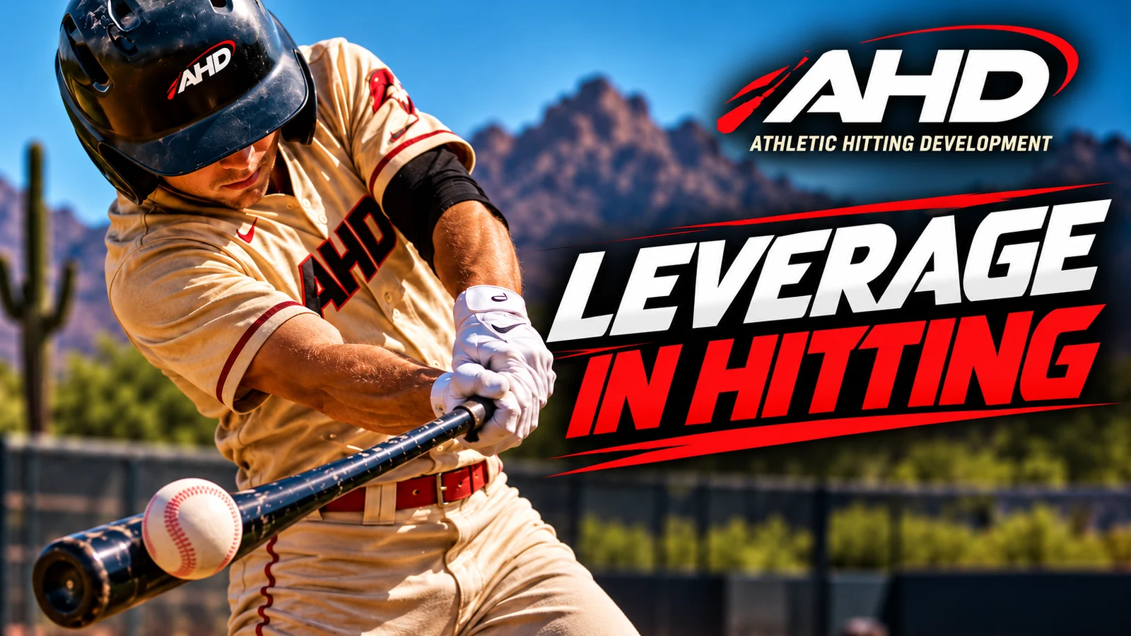 What Is Leverage in Hitting? Build Power You Can Use. AHD Backspin Blog