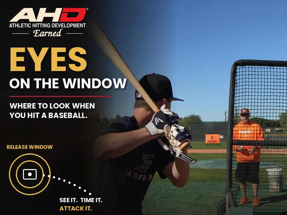 What Should You Look at When Hitting a Baseball?. AHD Backspin Blog